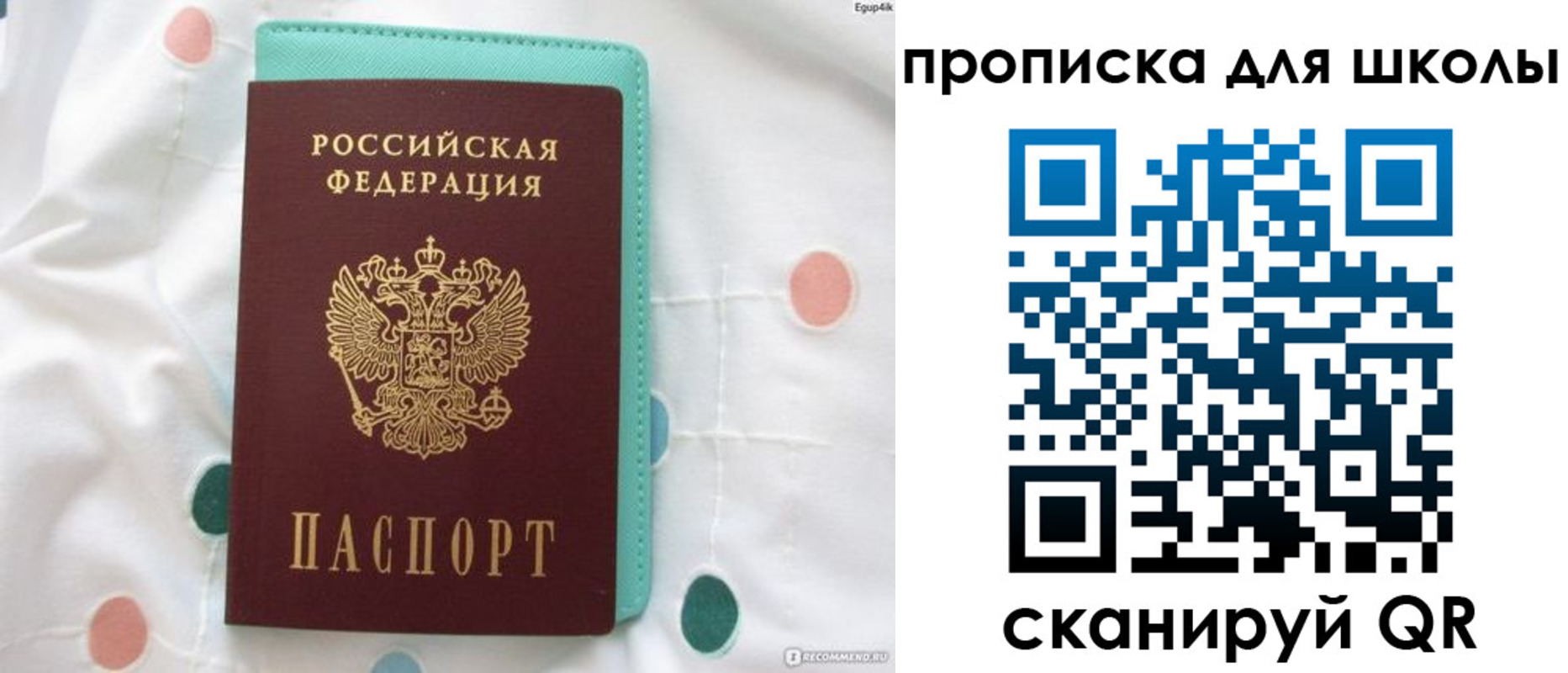 временная регистрация для всех в Читинской области